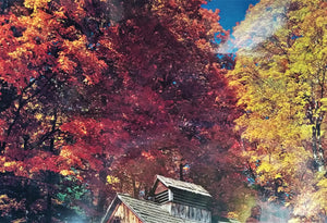 Original Photo Art Rustic Barn in Autumn 24 x 20